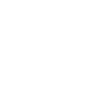ELM Logo White
